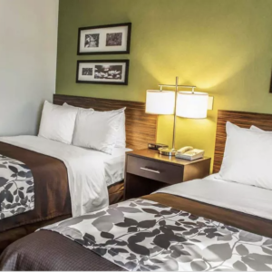 Sleep Inn & Suites Antique Style Hotel Bedroom Furniture